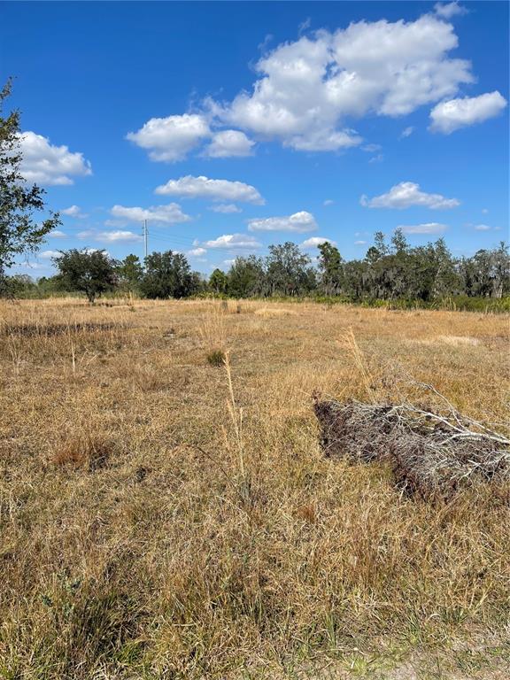 A flat, grassy vacant lot features scattered trees and a clear blue sky — HAMMERMILL AVENUE, LAKE WALES, FL