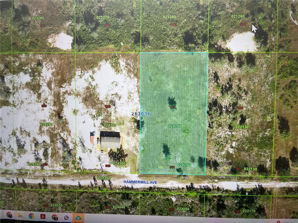This is a satellite map view showing a rectangular parcel of land highlighted in blue — HAMMERMILL AVENUE, LAKE WALES, FL