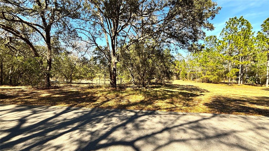 A paved road runs in front of a grassy, wooded lot with mature trees — LINCOLN ROAD, DELAND, FL