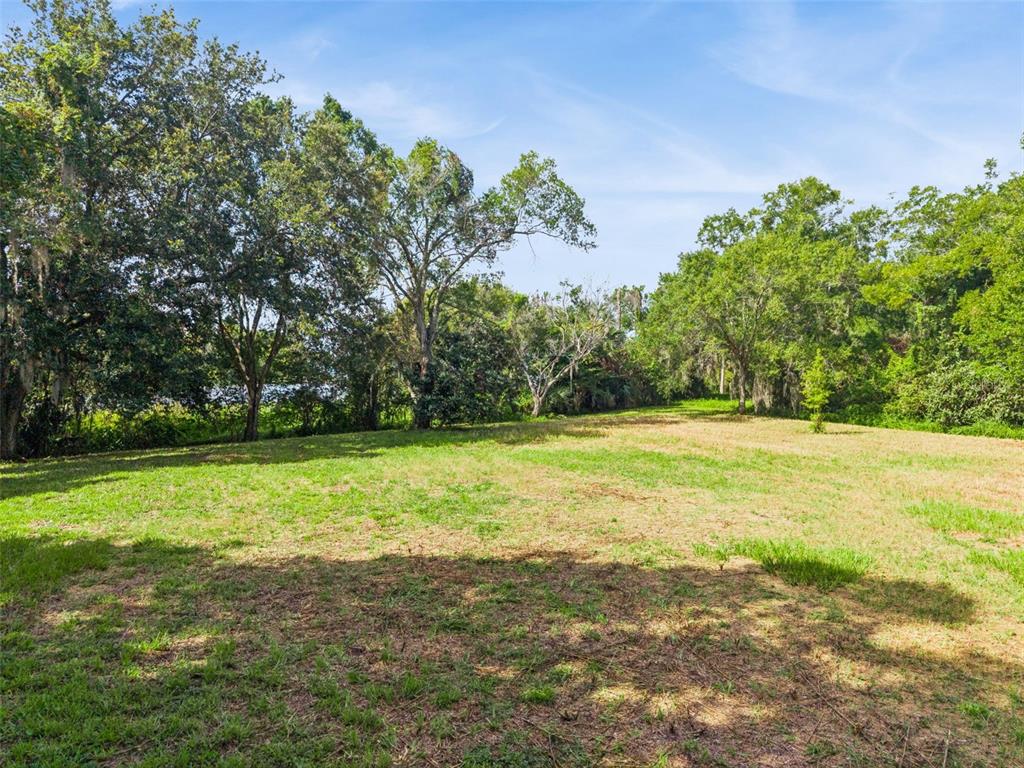 A grassy, open lot is surrounded by mature trees under a clear blue sky — 3524 W ROBINSON STREET, ORLANDO, FL