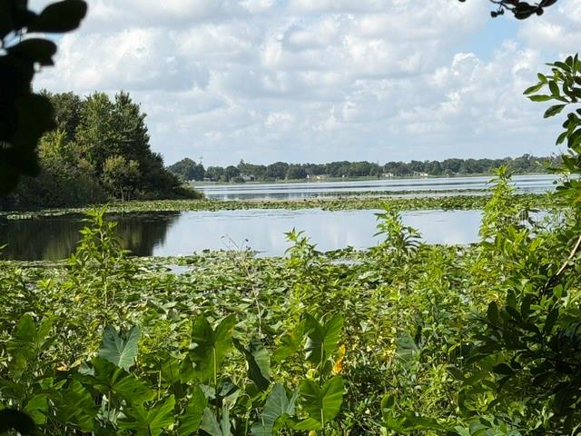 A view of a lake framed by lush green vegetation and lily pads under a cloudy sky — 3524 W ROBINSON STREET, ORLANDO, FL