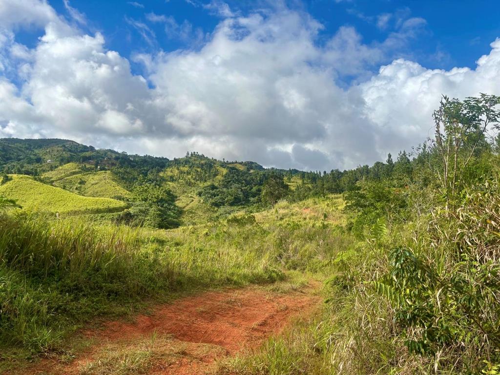 A dirt path leads through a grassy, hilly landscape under a blue sky with clouds — CARR 252 KM.HM 22.2, OROCOVIS, PR