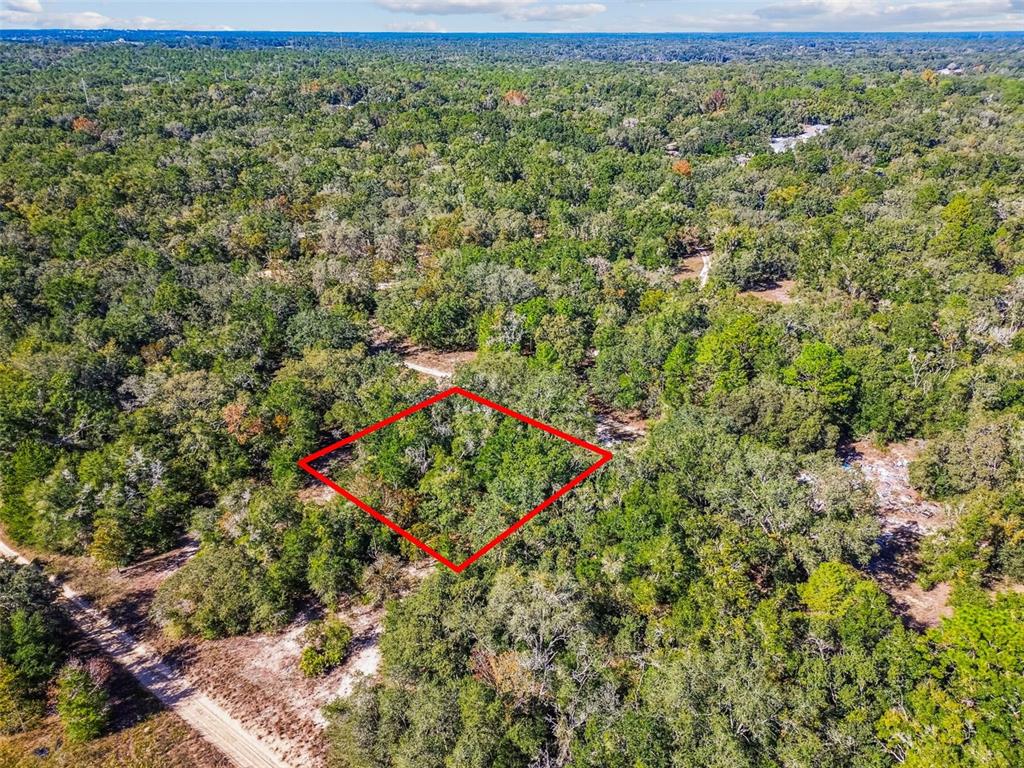 An aerial view shows a rectangular plot of land outlined in red amidst dense forest — 2903 TYLER STREET, INVERNESS, FL