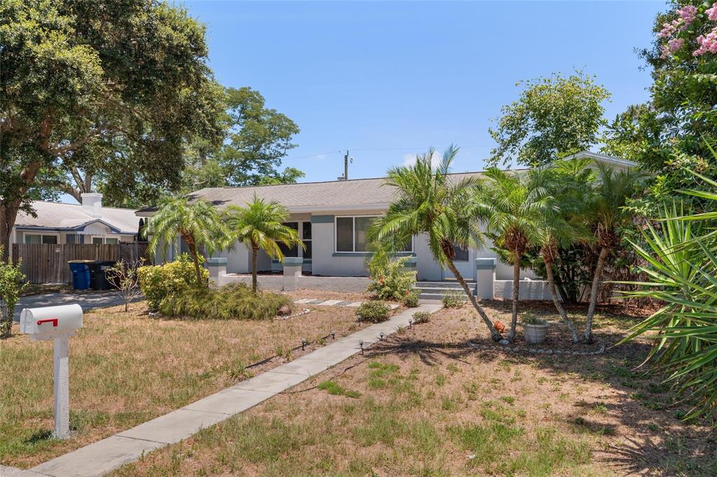 A single-story house with a light-colored exterior, palm trees, and a concrete walkway — 1428 PINEBROOK DRIVE, CLEARWATER, FL