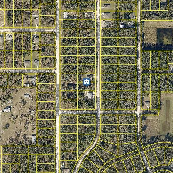 This is an aerial map view showing residential lots and roads in a wooded area — LOT 16 CANVASBACK ROAD, WEEKI WACHEE, FL