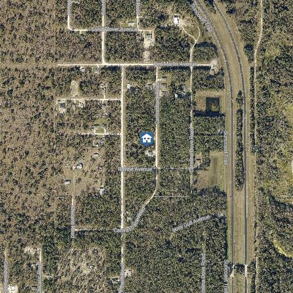 This is an aerial map view of a residential property surrounded by wooded land — LOT 16 CANVASBACK ROAD, WEEKI WACHEE, FL