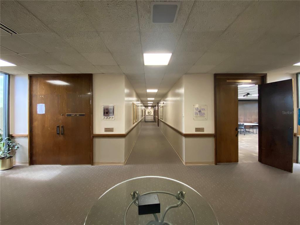 A long office hallway features carpeted floors, drop ceilings, and wooden doors on both sides — 2815 NW 13TH STREET 4th Floor, GAINESVILLE, FL