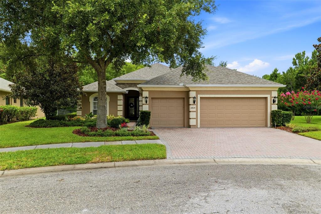 A single-story house with a two-car garage, a paved driveway, and a large front tree — 14828 MAN O WAR DRIVE, ODESSA, FL