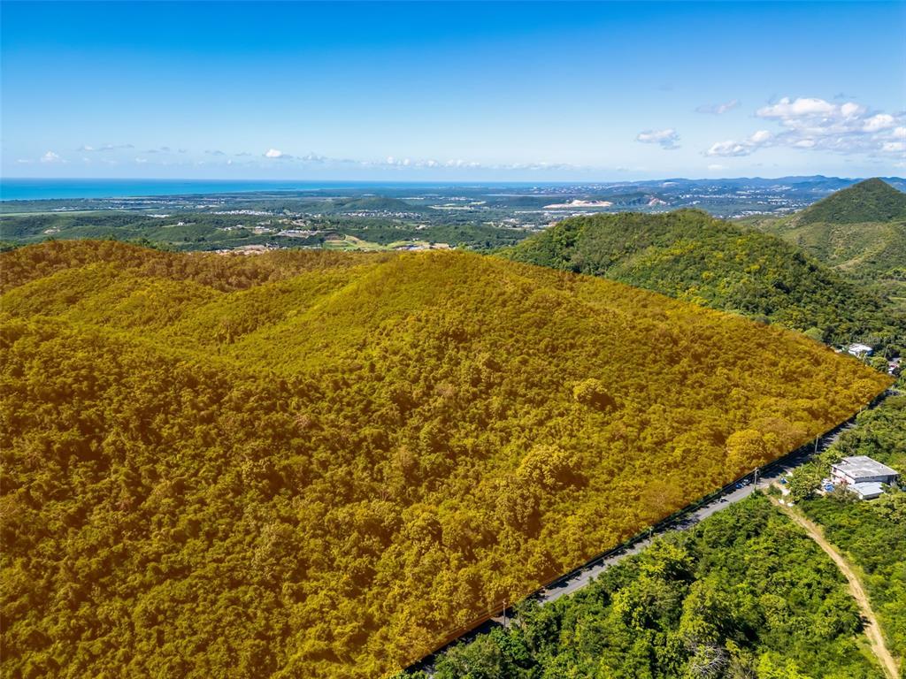 An aerial view shows a large, forested hillside lot bordered by a road — BO TIJERAS, JUANA DIAZ, PR