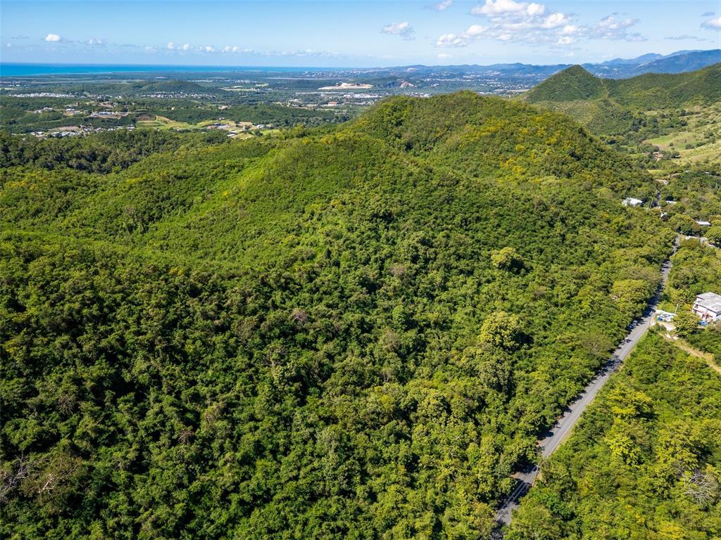 An aerial view shows a lush, forested hillside next to a paved road — BO TIJERAS, JUANA DIAZ, PR