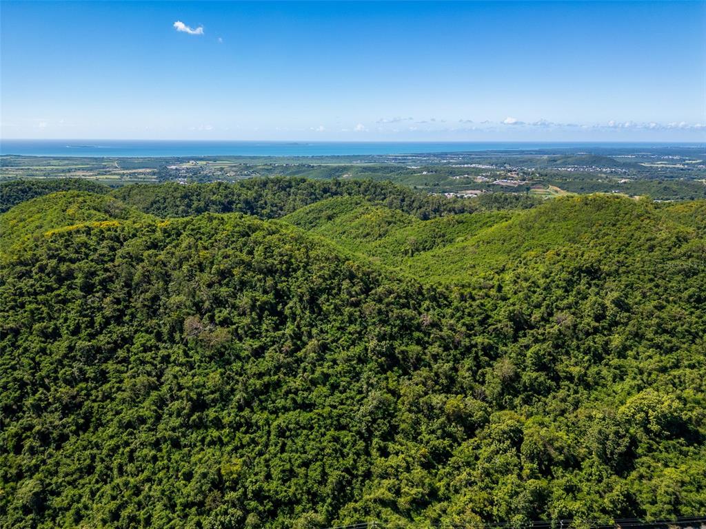 An aerial view shows a dense, green forest landscape overlooking a distant coastline and ocean — BO TIJERAS, JUANA DIAZ, PR