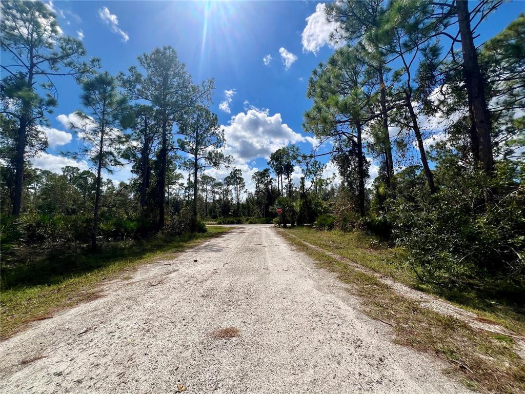 A dirt road leads toward a stop sign surrounded by tall pine trees and vegetation — 12334 HINDLE AVENUE, PUNTA GORDA, FL