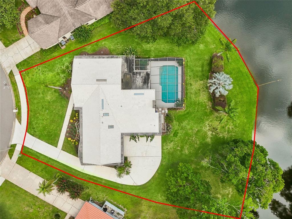 2364 VIOLET PL, PALM HARBOR, FL — photo 3 of 30