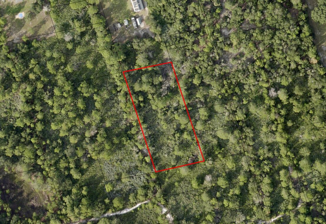 An aerial view shows a rectangular plot of land outlined in red within a forest — 0 Golden Shores Blvd, Mims FL 32754, MIMS, FL
