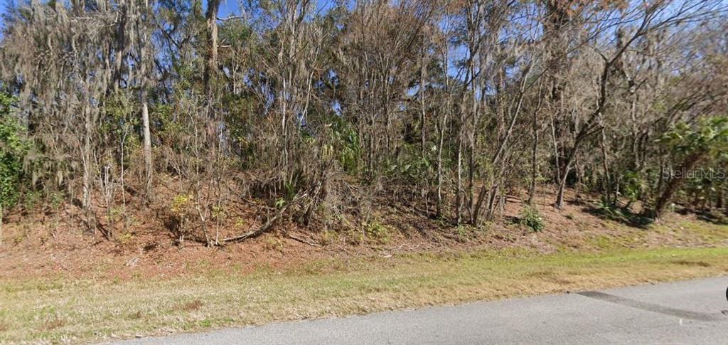 SE WACAHOOTA RD, MICANOPY, FL — photo 2 of 9