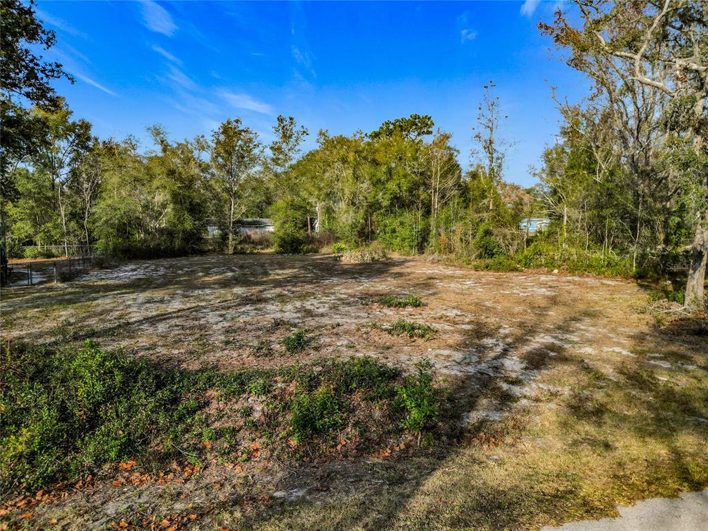 A vacant, sandy residential lot is surrounded by dense trees under a clear blue sky — 202 NE 72ND TERRACE, OCALA, FL