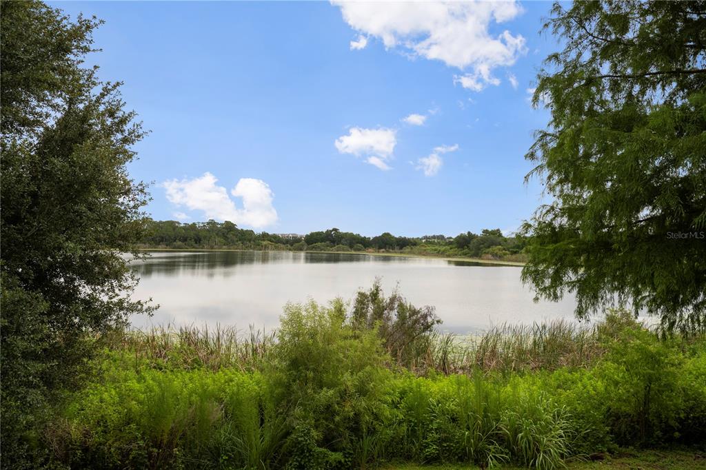 A view of a calm lake surrounded by lush green trees and tall grasses — 1132 CHARMING STREET, MAITLAND, FL