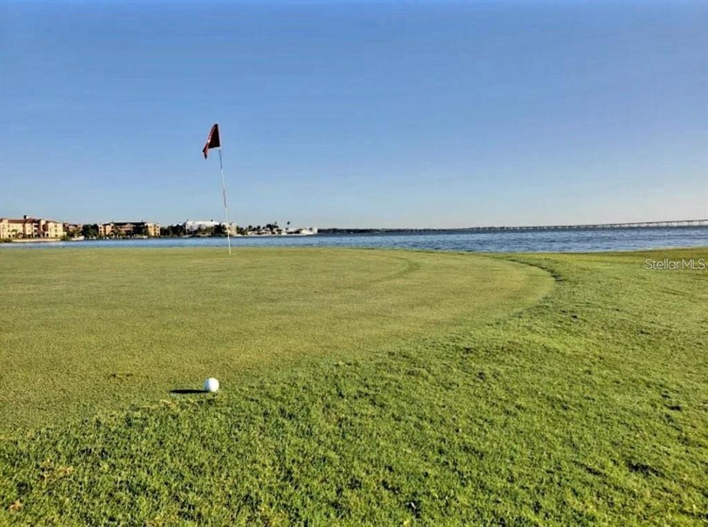 A golf ball sits on a putting green overlooking a large body of water — 2935 LICHEN LANE UNIT C, CLEARWATER, FL