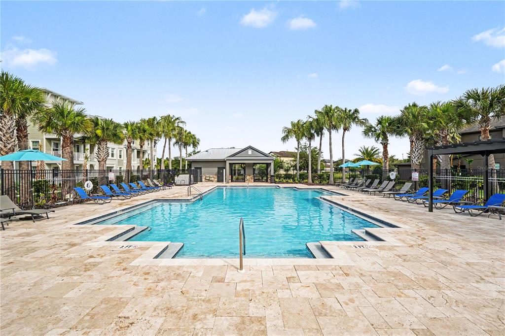 A rectangular swimming pool is surrounded by a stone patio, lounge chairs, and palm trees — 28504 TRANQUIL LAKE CIRCLE, WESLEY CHAPEL, FL