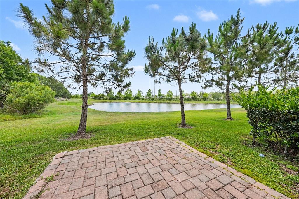 A brick patio overlooks a grassy lawn and a small pond framed by pine trees — 28504 TRANQUIL LAKE CIRCLE, WESLEY CHAPEL, FL