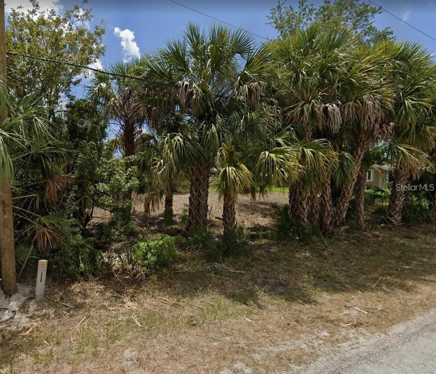 A cluster of palm trees stands on a vacant, grassy lot under a blue sky — 18210 AVONSDALE CIRCLE, PORT CHARLOTTE, FL