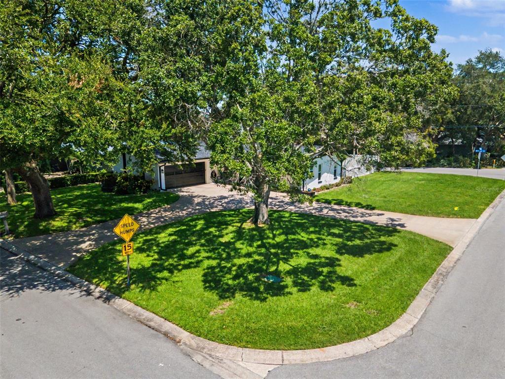An aerial view of a house with a large front yard, mature trees, and driveway — 1666 SOUVENIR DRIVE, CLEARWATER, FL