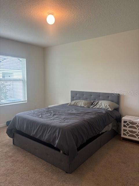 A bedroom features a gray upholstered bed, beige carpet, and a window with white blinds — 32696 PEZ LANDING LANE, WESLEY CHAPEL, FL