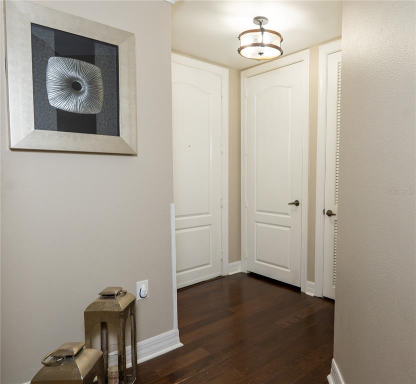 A hallway features dark wood floors, three white doors, and a decorative ceiling light fixture — 501 MIRASOL CIRCLE UNIT 208, CELEBRATION, FL