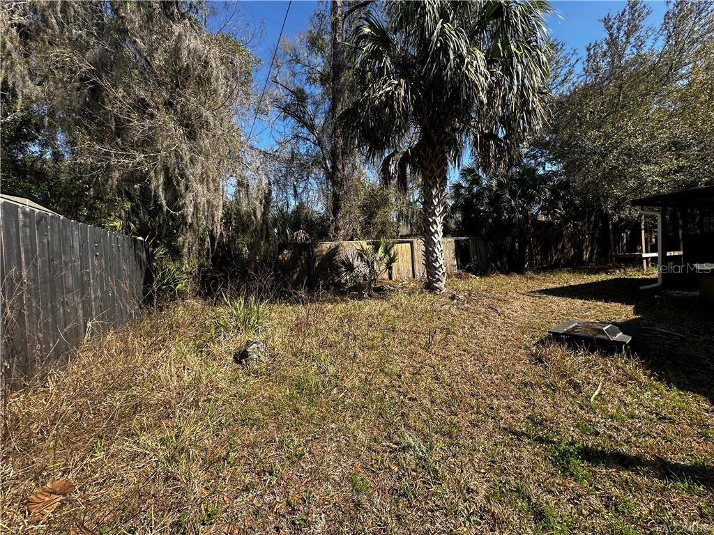 A grassy backyard features a palm tree, overgrown vegetation, and a wooden fence — 4197 N CONCORD DRIVE, CRYSTAL RIVER, FL