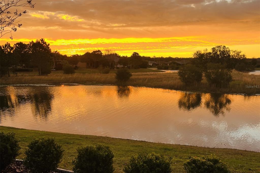 A pond reflects a vibrant orange sunset behind a grassy field and silhouetted trees — 8732 PROVIDENCE COURT, MOUNT DORA, FL