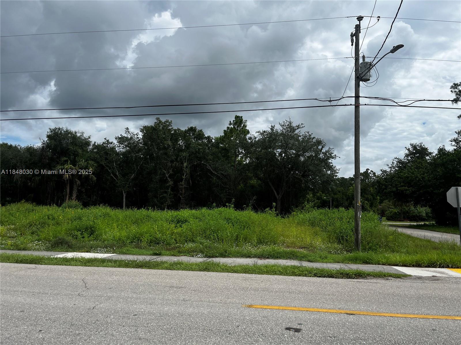 A vacant, grassy lot sits beside a paved road with a utility pole nearby — 1707 E 6th St, Lehigh Acres FL 33972, LEHIGH ACRES, FL