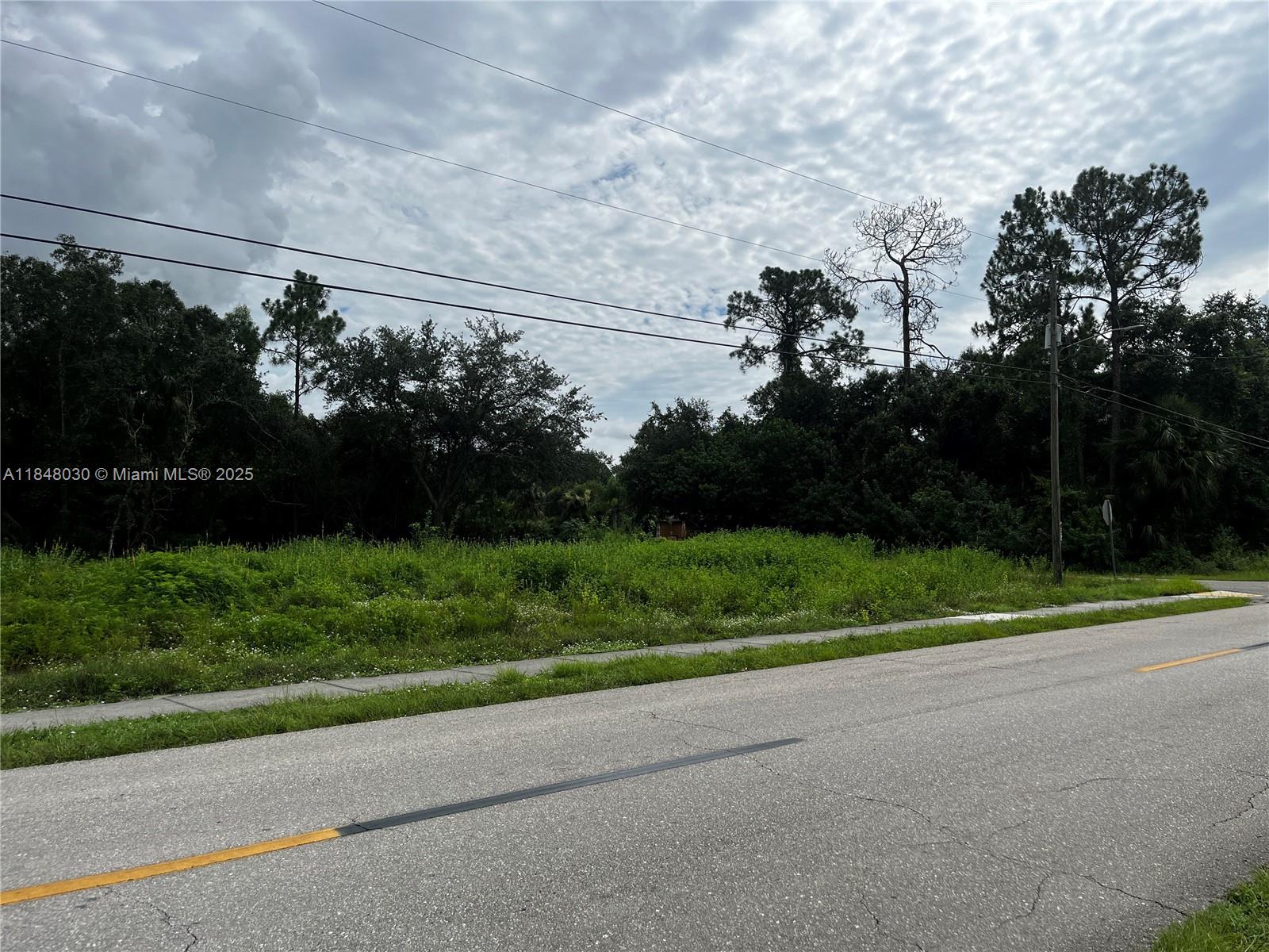A vacant, grassy lot sits beside a paved road under a cloudy sky — 1707 E 6th St, Lehigh Acres FL 33972, LEHIGH ACRES, FL
