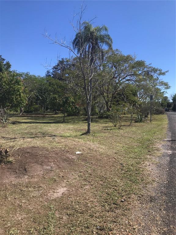 An empty, grassy lot features a tall palm tree and several other trees under a sky — 5311 24TH STREET COURT E, BRADENTON, FL