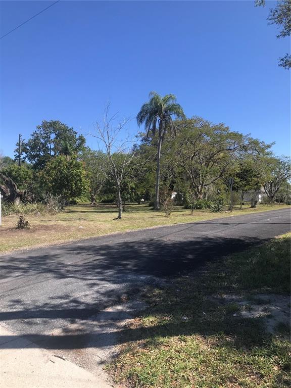 A paved road runs alongside a grassy, tree-filled vacant lot under a clear blue sky — 5311 24TH STREET COURT E, BRADENTON, FL
