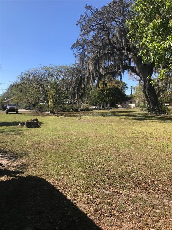 A large, grassy yard features several mature trees draped with Spanish moss under a clear sky — 5311 24TH STREET COURT E, BRADENTON, FL