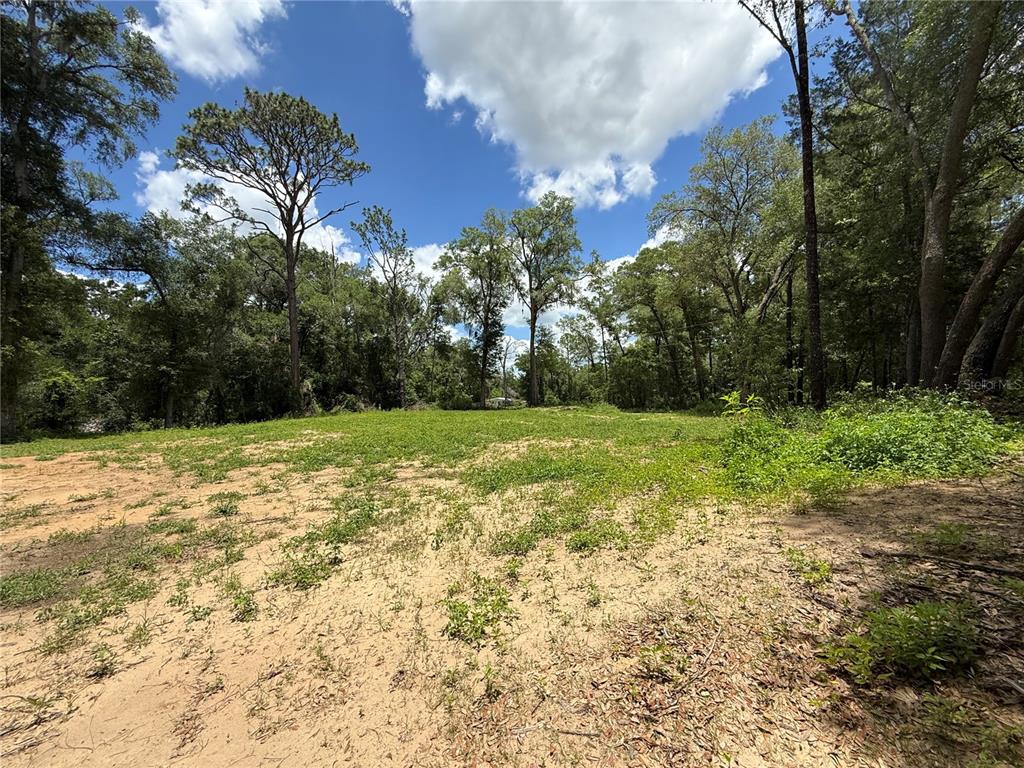 A cleared, sandy lot is surrounded by mature trees under a blue sky — SW 53RD PL, OCALA, FL
