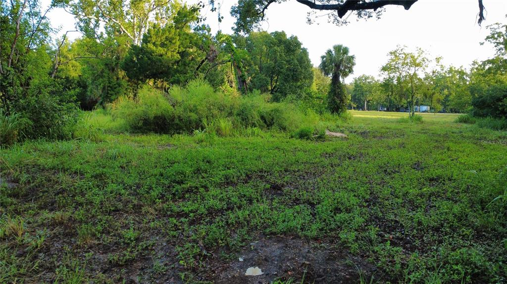 327 BEAVERBROOK LANE, OAK HILL, FL — photo 5 of 12