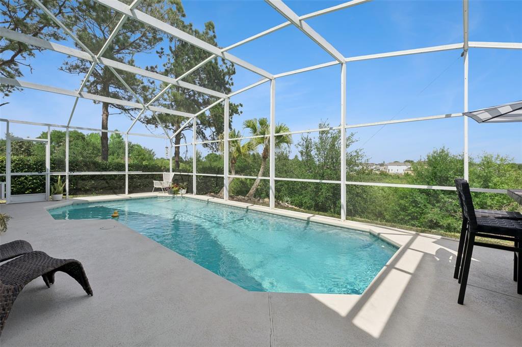 A screened-in swimming pool with a concrete deck and views of trees and houses — 112 WINDSOR PLACE, DAVENPORT, FL