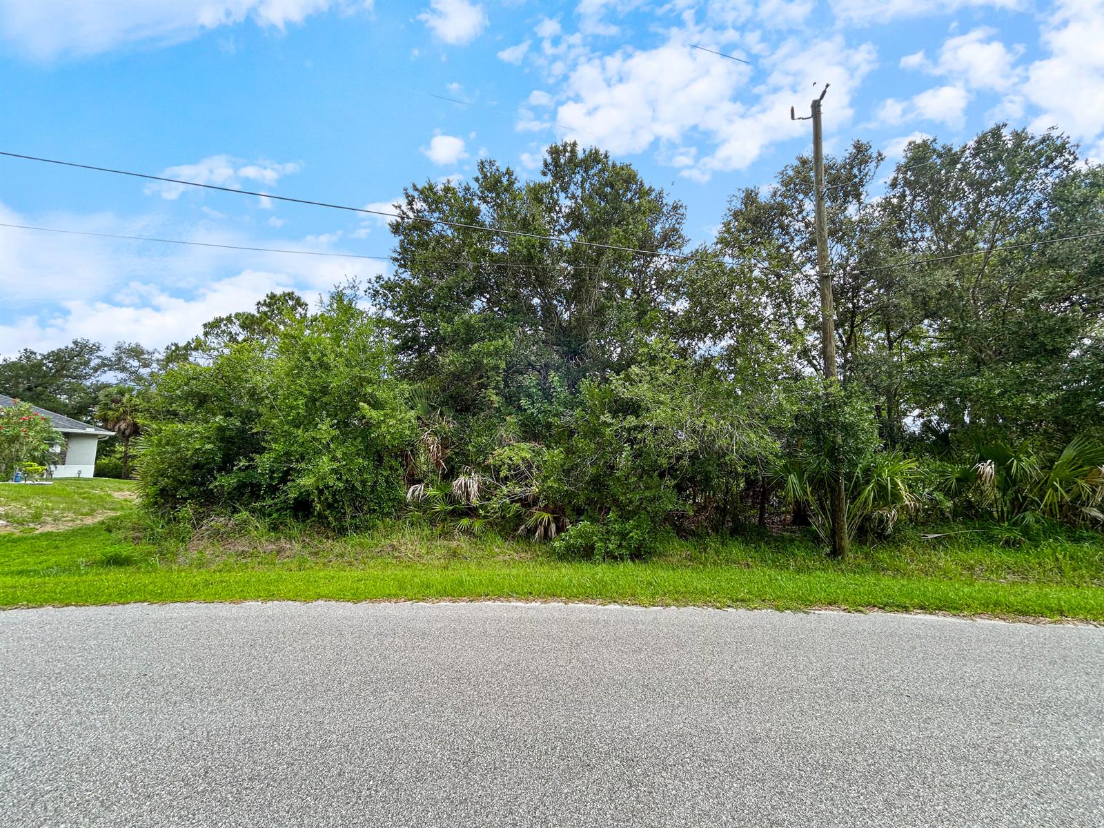 A view of a vacant, wooded residential lot from the street — Ancient Ancient, North Port FL 34286, NORTH PORT, FL