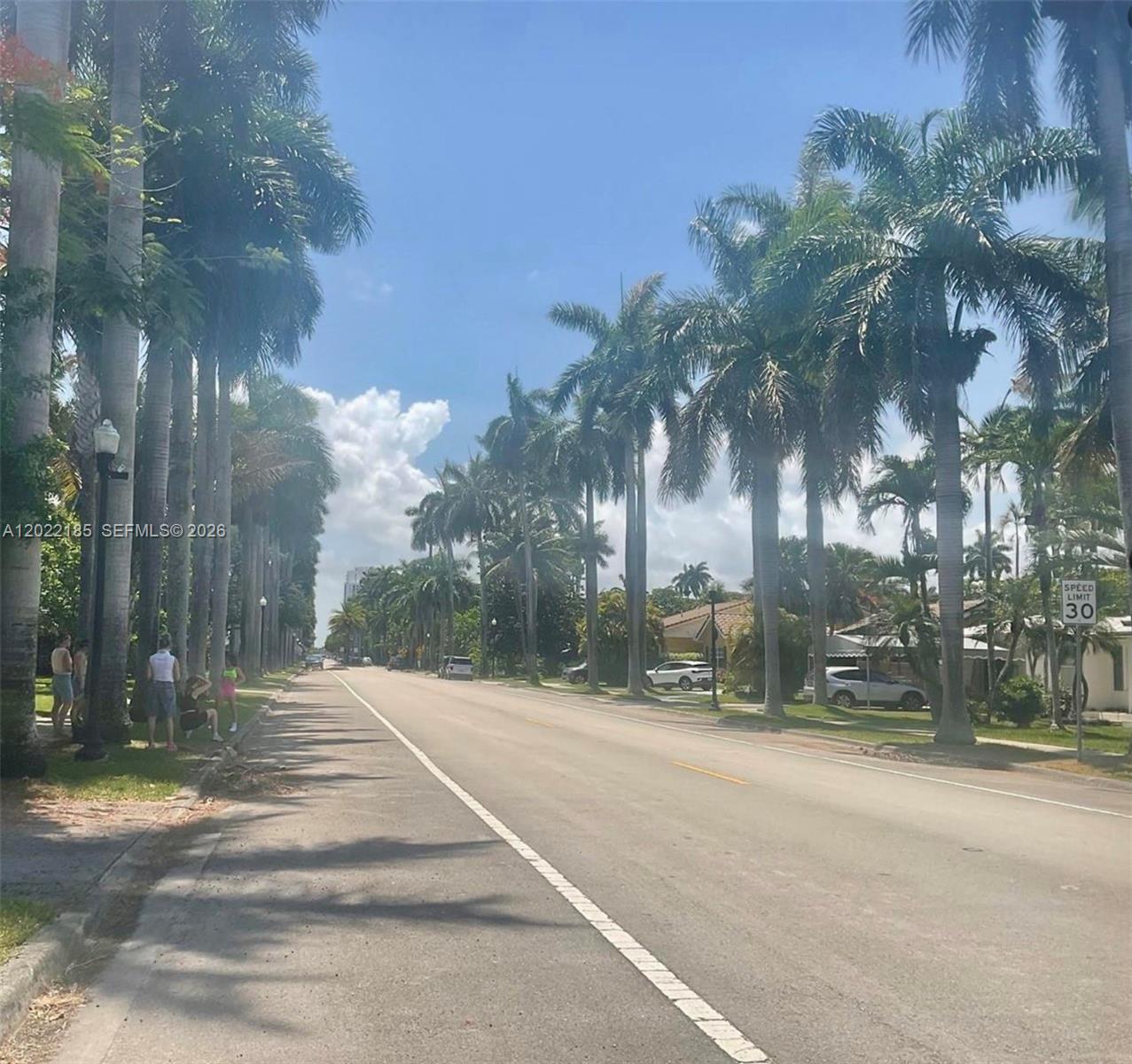 A palm-lined street features a speed limit sign and several people standing on the sidewalk — 1206 Tyler St, Hollywood FL 33019, HOLLYWOOD, FL