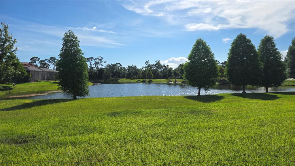 A grassy lawn overlooks a pond surrounded by trees and a nearby house with a screen — 11911 SAND MYRTLE ROAD, RIVERVIEW, FL