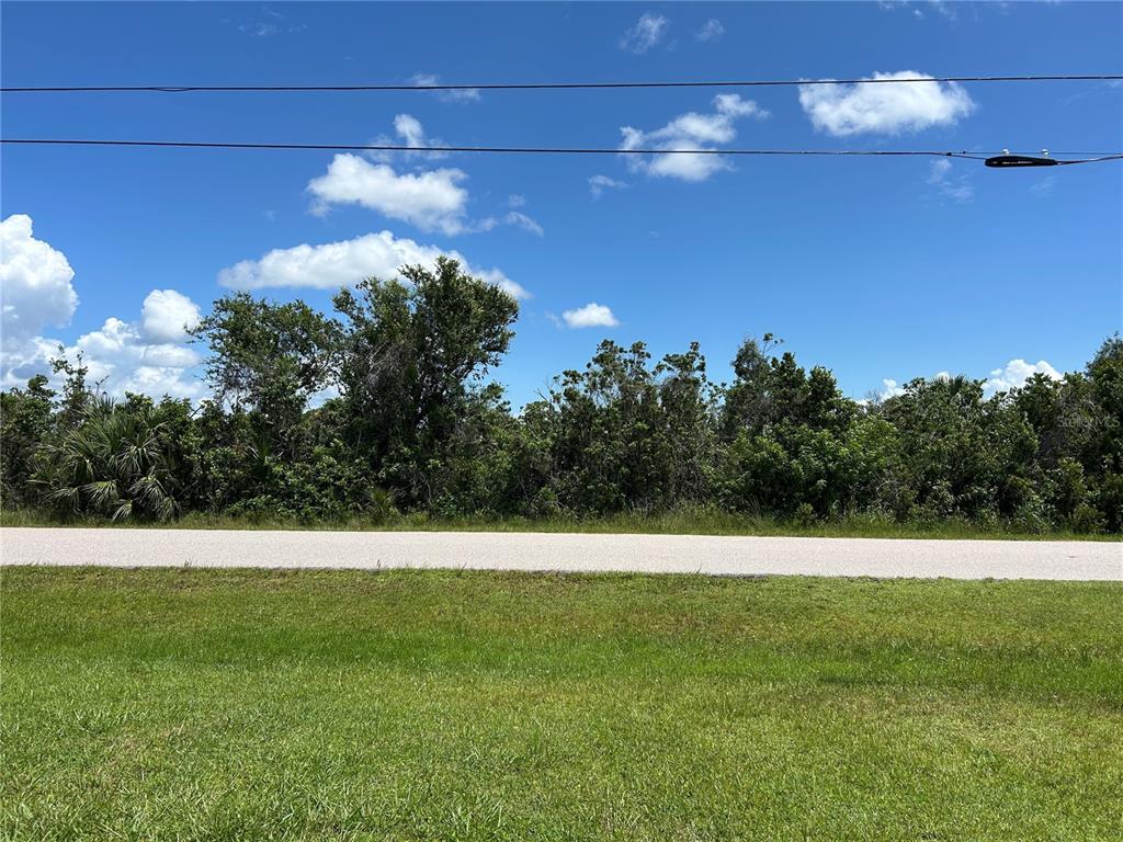A paved road separates a grassy foreground from a dense line of trees and shrubs — 15657 HENNIPEN CIRCLE, PORT CHARLOTTE, FL