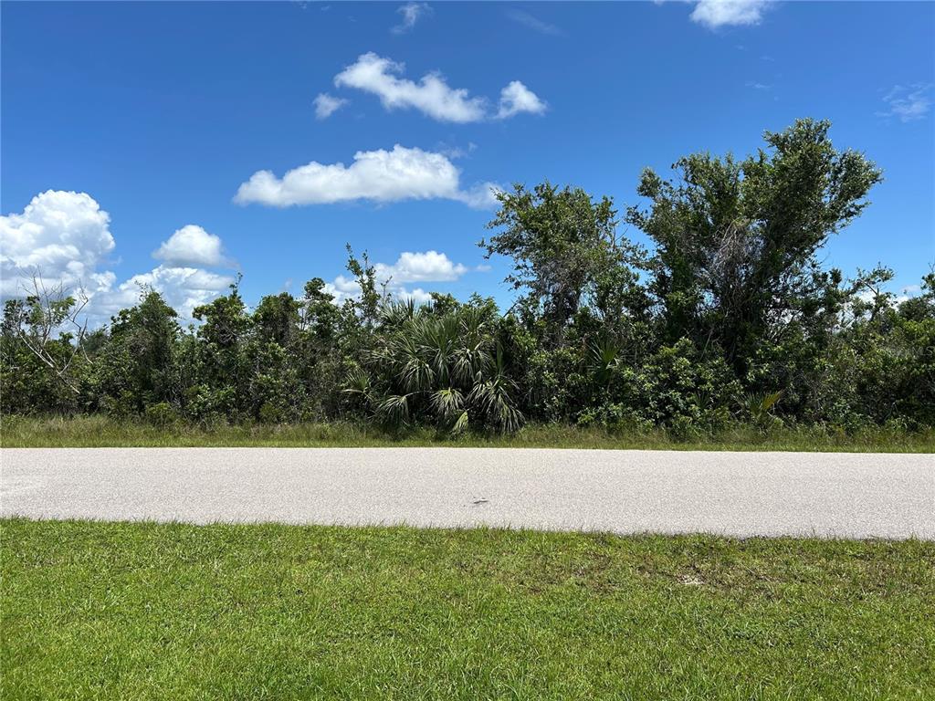 A paved road runs in front of a dense line of trees and shrubs — 15657 HENNIPEN CIRCLE, PORT CHARLOTTE, FL