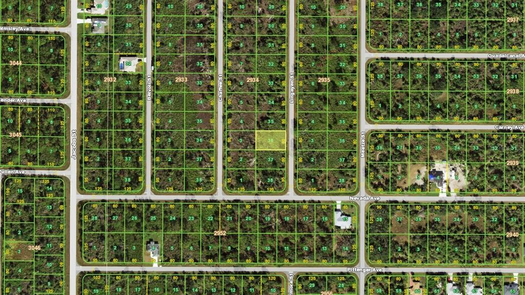 This is a satellite map showing a grid of residential land parcels and streets — 2167 LINGAYEN STREET, PORT CHARLOTTE, FL
