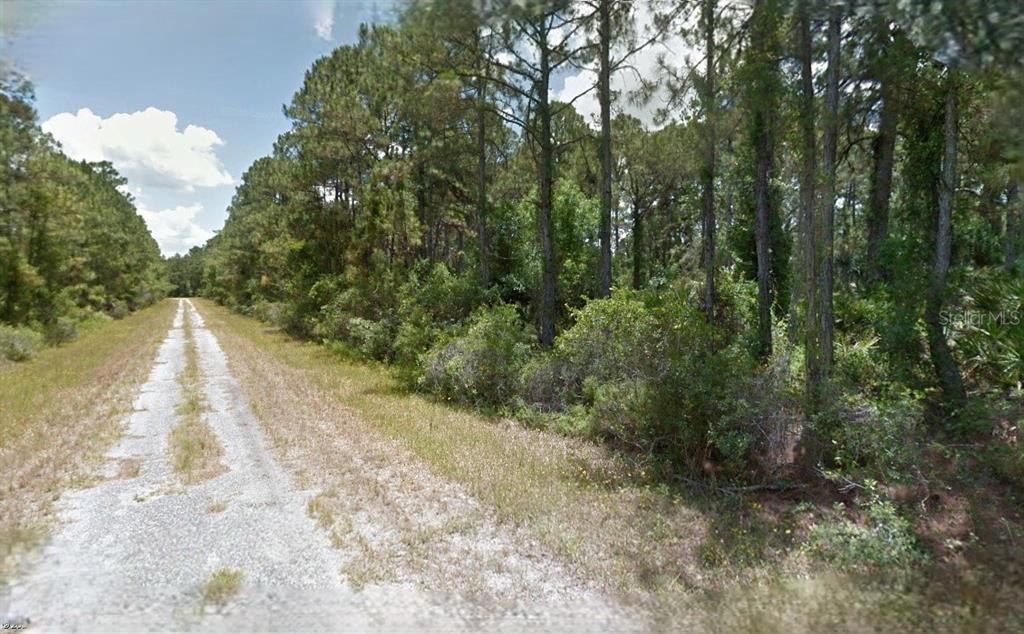 A dirt road runs alongside a dense, wooded area with tall pine trees — BOYD AVENUE, NORTH PORT, FL