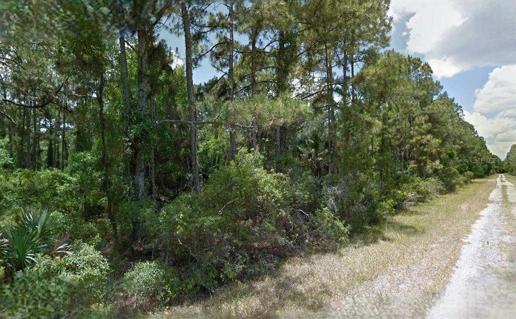 A dirt road runs alongside a dense, wooded lot filled with pine trees and underbrush — BOYD AVENUE, NORTH PORT, FL