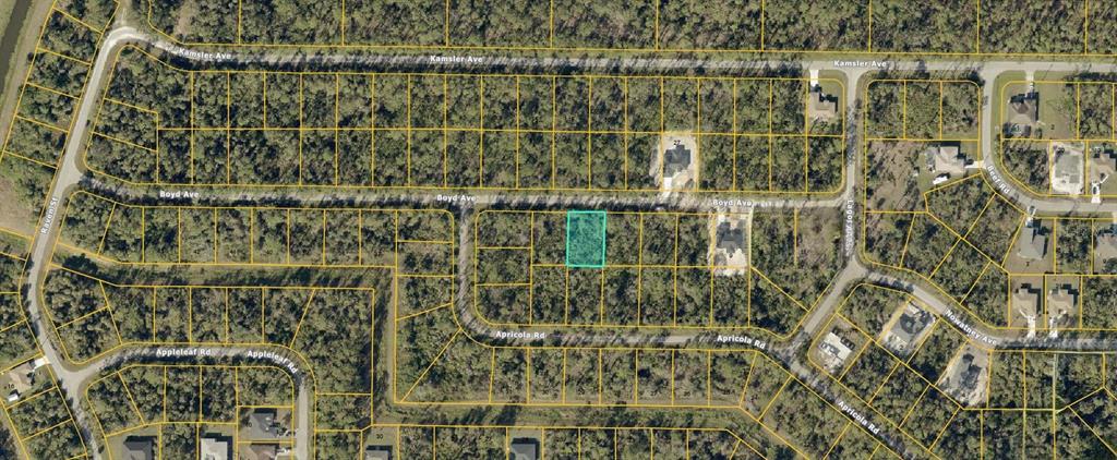 This is an aerial map showing a highlighted vacant residential lot in a wooded area — BOYD AVENUE, NORTH PORT, FL