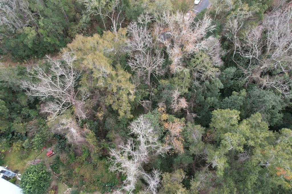 An aerial view shows a densely wooded lot with a small portion of a road visible — 3-12-2N-4W-1100-0000B-009 STATION STREET, QUINCY, FL