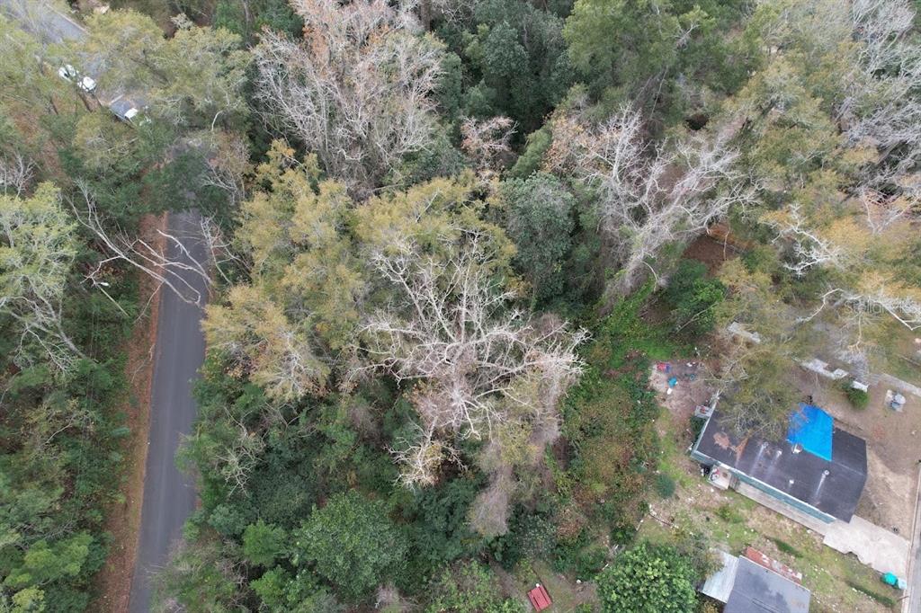An aerial view shows a wooded lot with a small house and a paved road — 3-12-2N-4W-1100-0000B-009 STATION STREET, QUINCY, FL