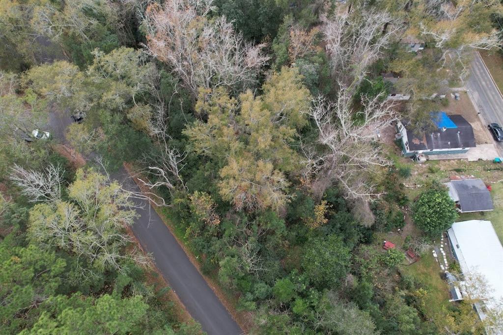 An aerial view shows a paved road curving through a wooded lot next to residential houses — 3-12-2N-4W-1100-0000B-009 STATION STREET, QUINCY, FL